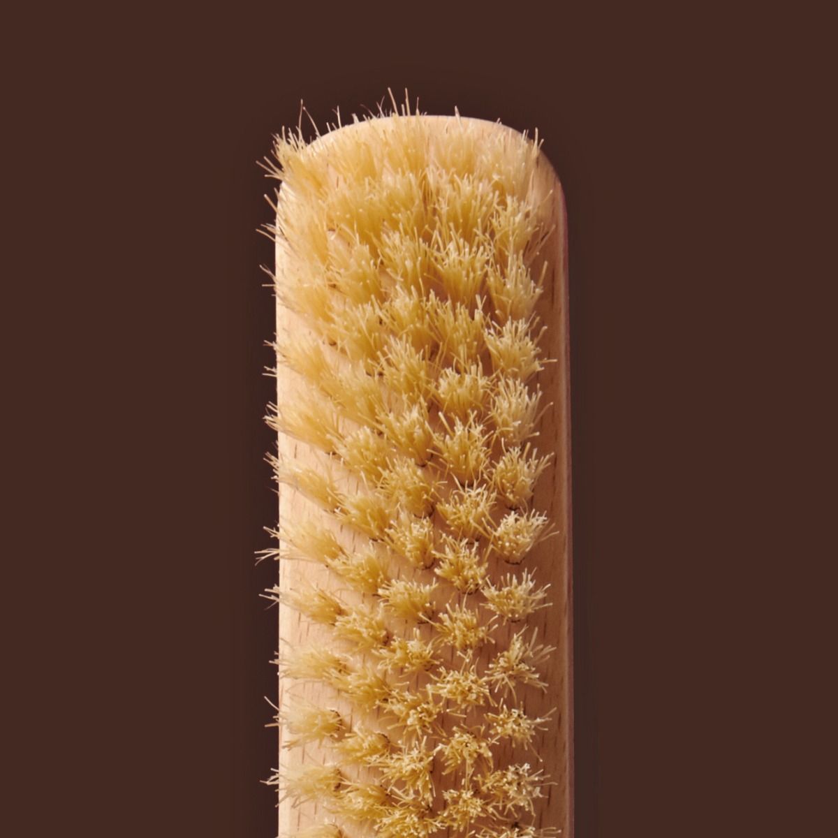 LOC The Pony Brush